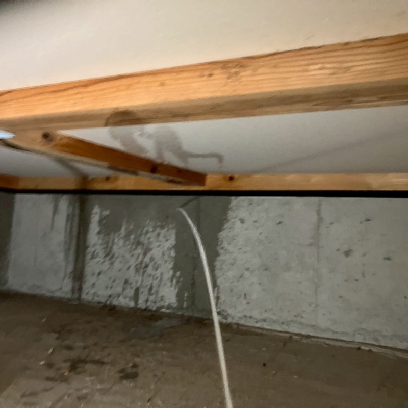 基礎にシロアリ駆除剤を散布