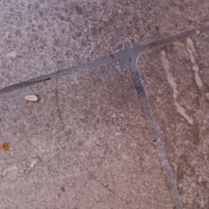 開けた穴をきれいに補修