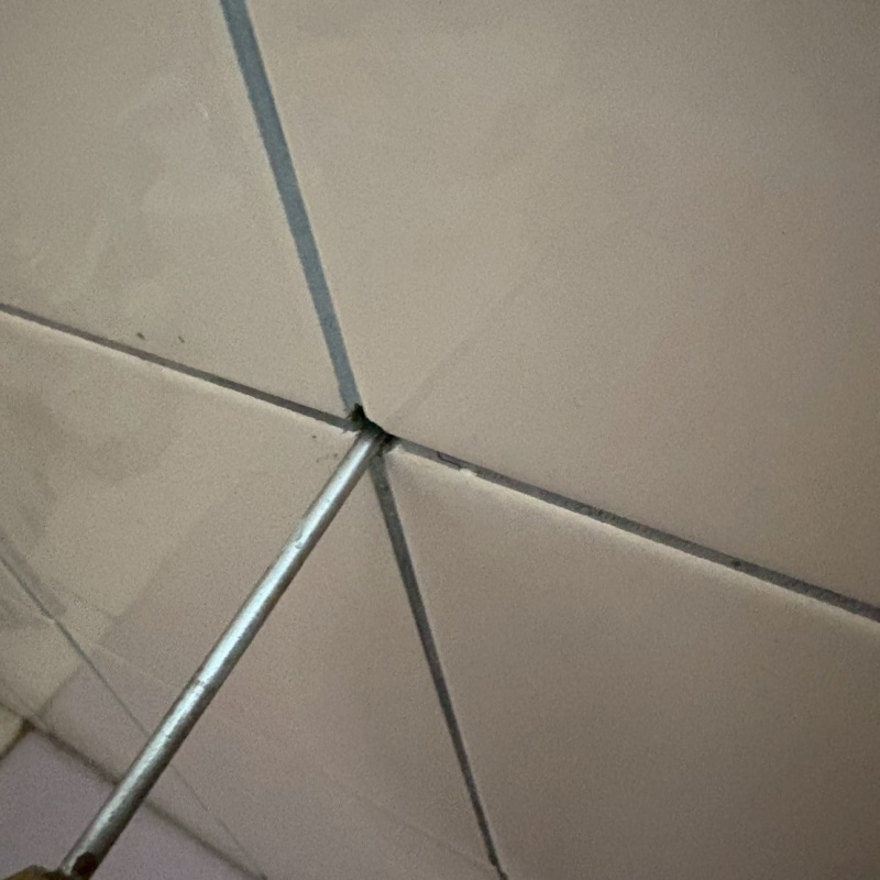 トイレ壁の目地からシロアリ駆除剤を注入