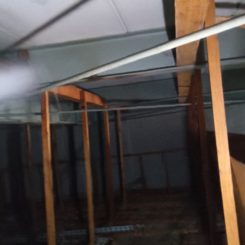 屋根裏の木材にシロアリ駆除剤を散布