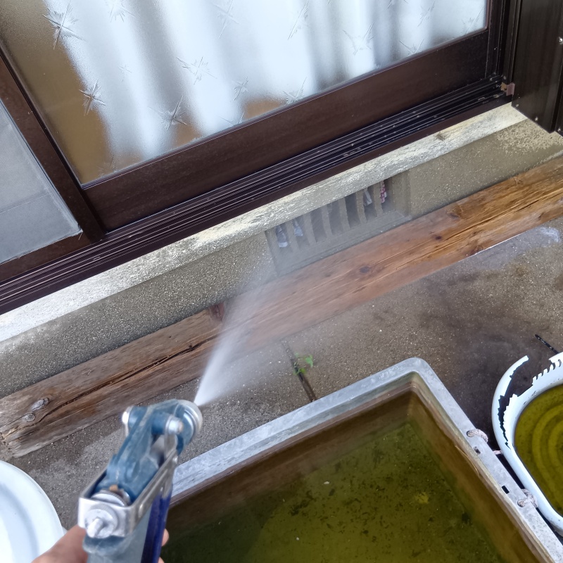 築年数33年のシロアリ駆除の施工事例（熊本県合志市野々島）