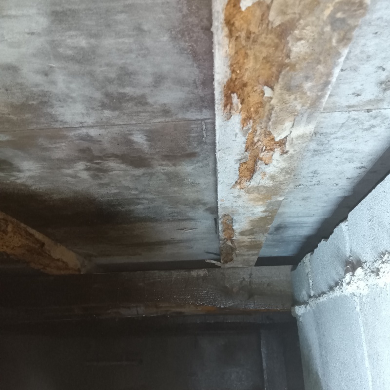 築年数40年のシロアリ駆除の施工事例（福岡県福岡市城南区梅林）
