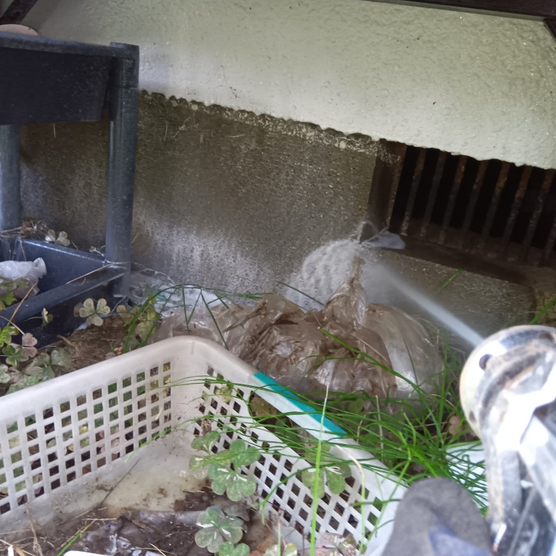 屋外の地面に防蟻剤を散布