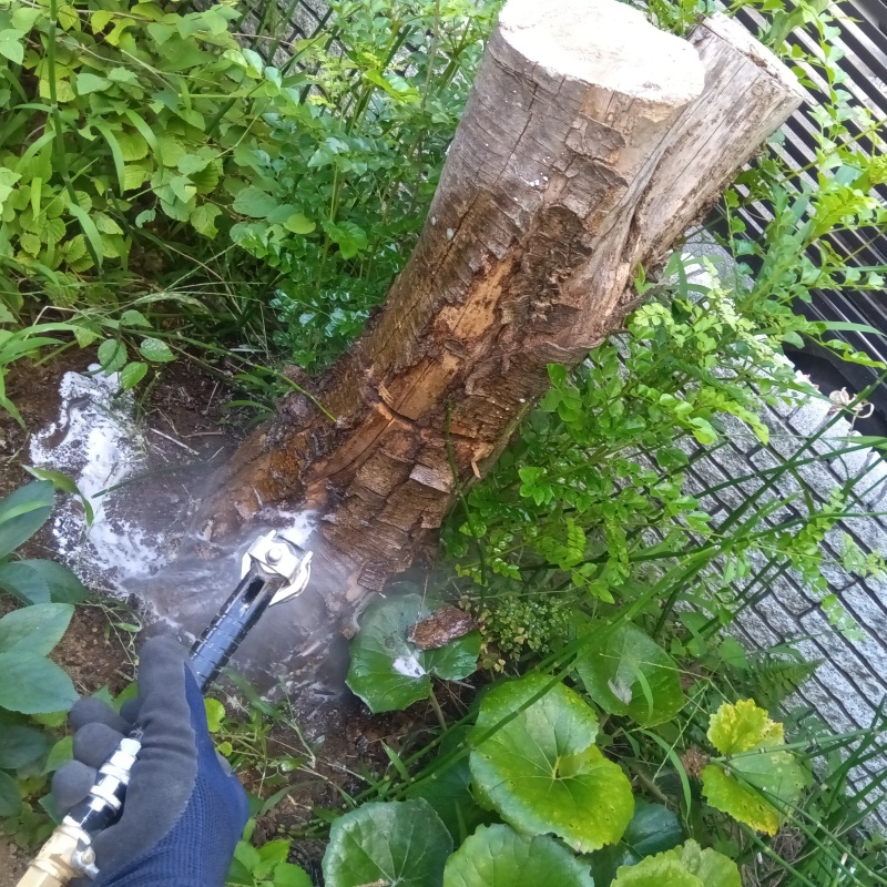 庭木に防蟻剤を散布