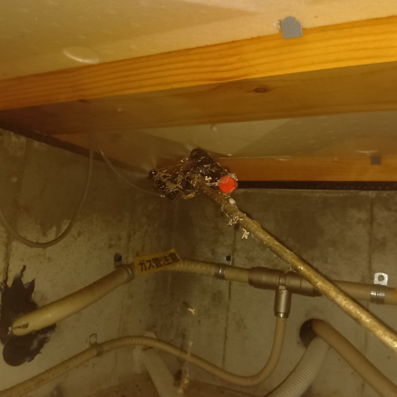 床下の木材に防蟻剤を散布