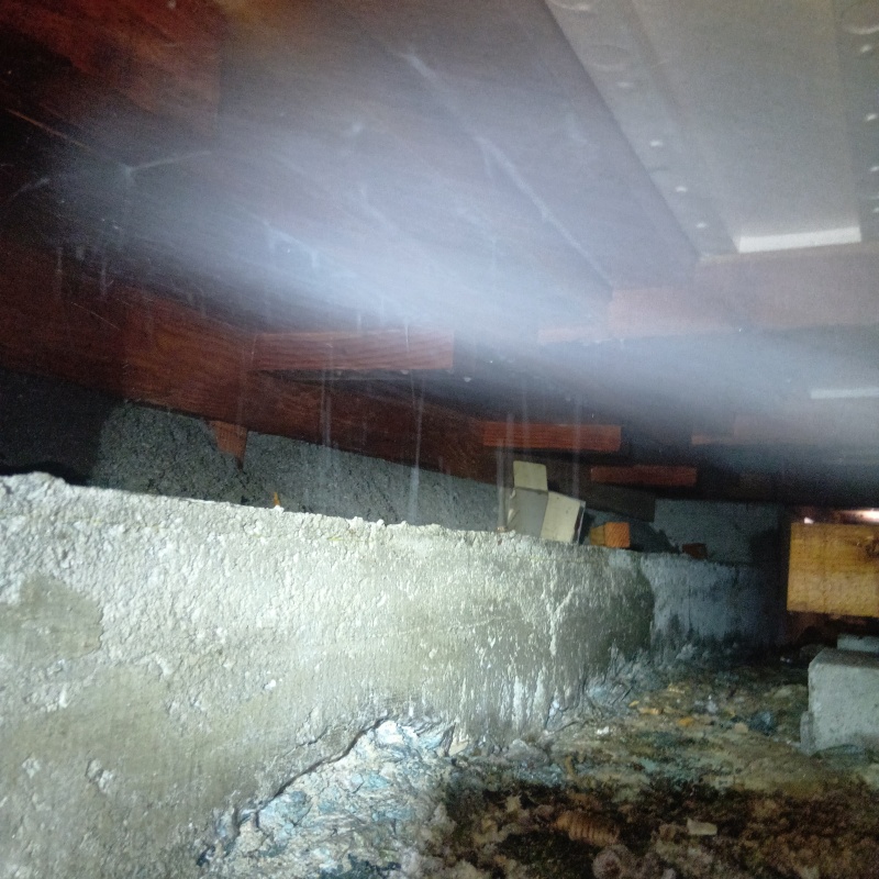 床下の木材にシロアリ駆除剤を散布