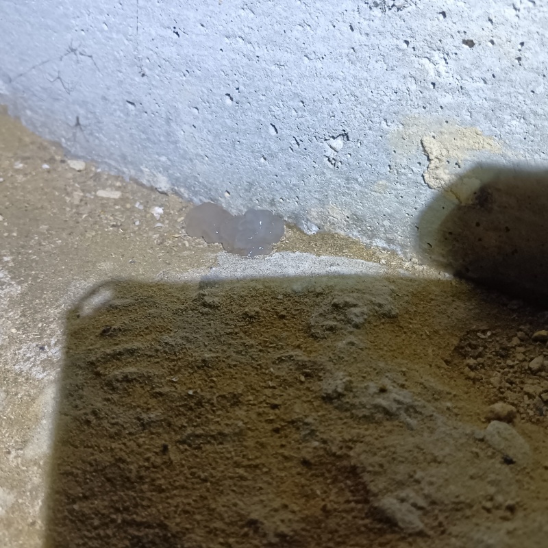 地面にベイト剤を設置