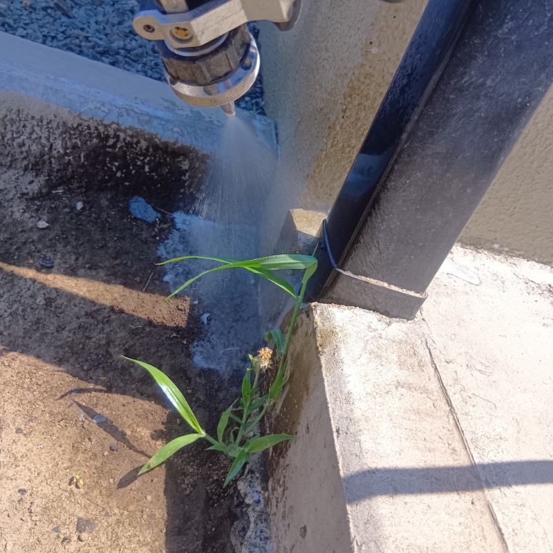 建物の外周に防蟻剤を散布