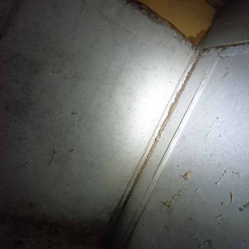 築年数28年のシロアリ駆除の施工事例（新潟県胎内市）