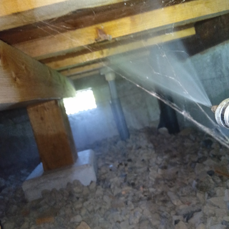 床下の木材にシロアリ駆除剤を散布