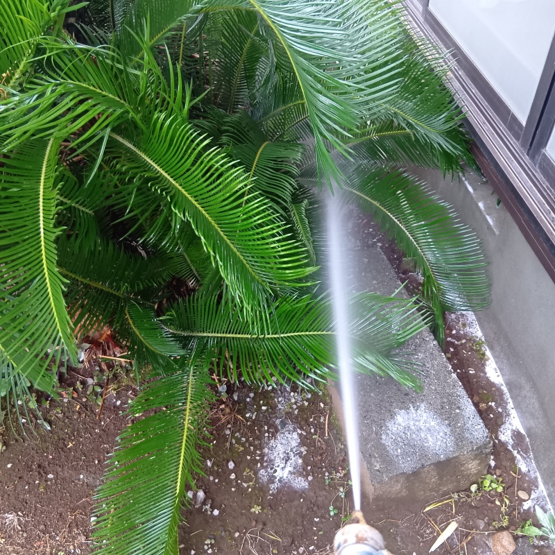 建物の外周にシロアリ駆除剤を散布