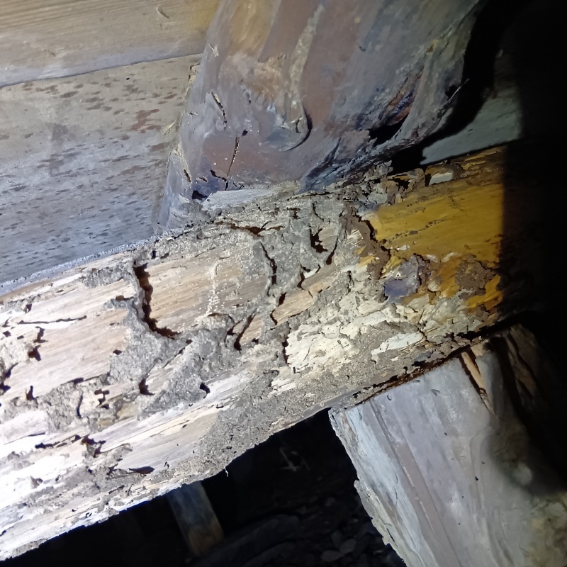 シロアリ駆除の施工事例（福井県三方郡美浜町河原市）