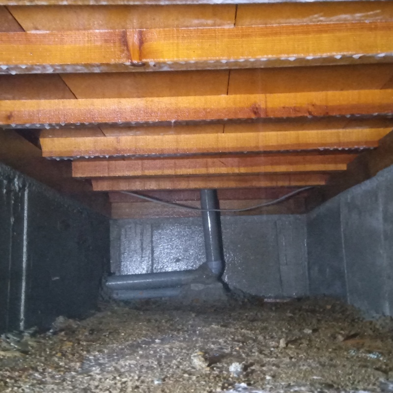 土壌処理が完了した様子