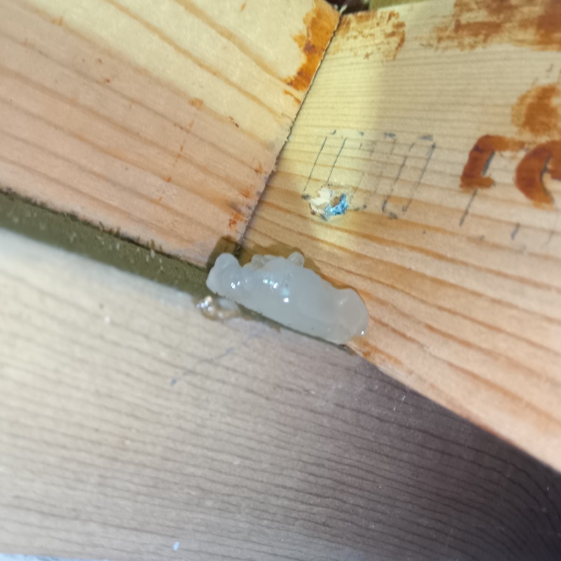 ベイト剤を設置