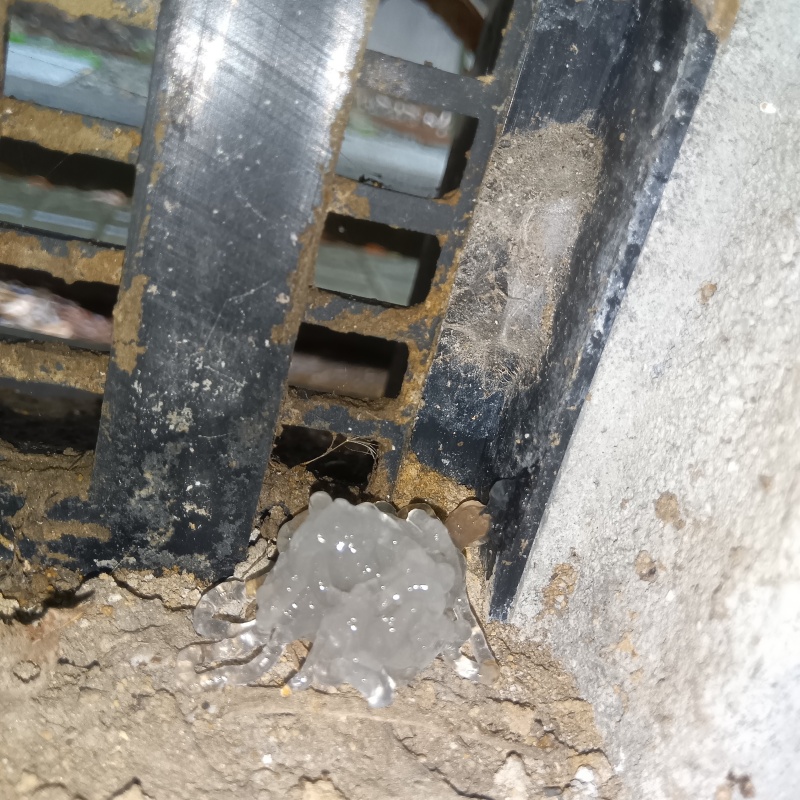 ベイト剤を設置