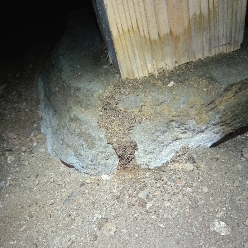 シロアリ駆除の施工事例（徳島県吉野川市山川町石堂）