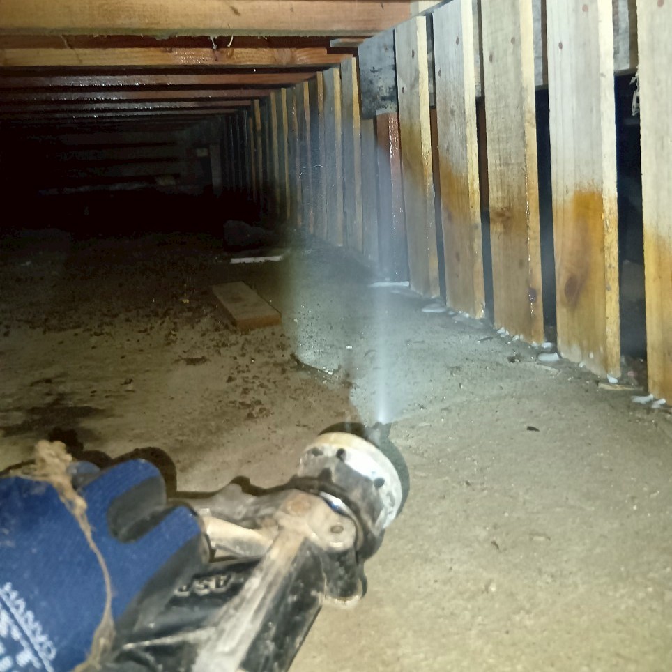 床下の木材にシロアリ駆除剤を散布