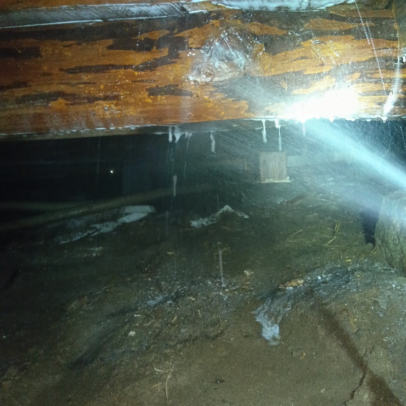 築年数80年のシロアリ予防の施工事例（福島県郡山市田村町金屋）