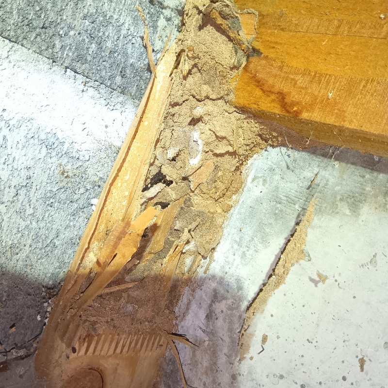 築年数20年のシロアリ駆除の施工事例（静岡県駿東郡清水町堂庭）