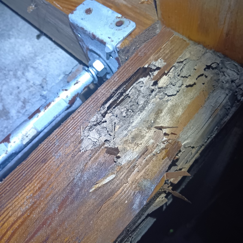 シロアリ駆除の施工事例（富山県魚津市平伝寺）