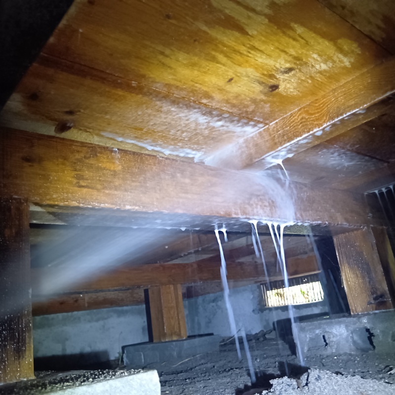 床下の木材にシロアリ駆除剤を散布