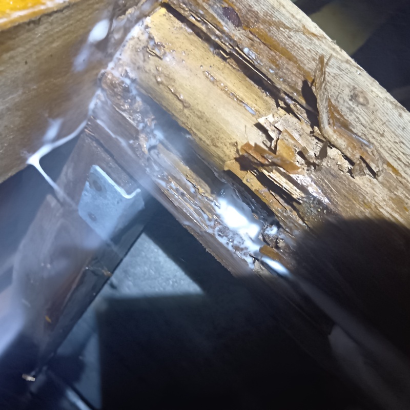 食害を受けた柱にシロアリ駆除剤を散布