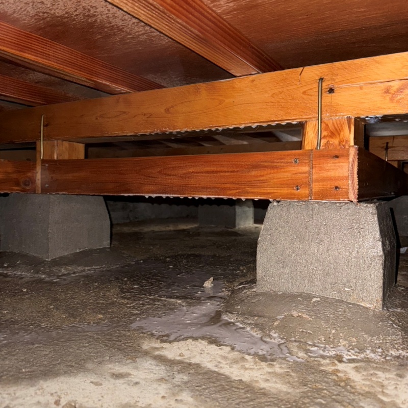 木部処理が完了した様子