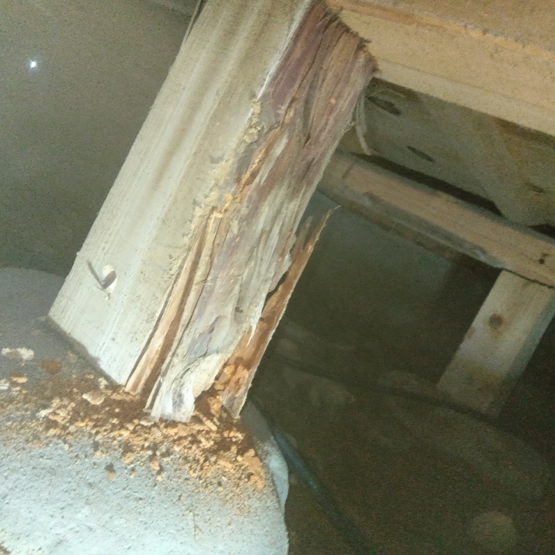 築年数52年のシロアリ予防の施工事例（岐阜県可児市下恵土）