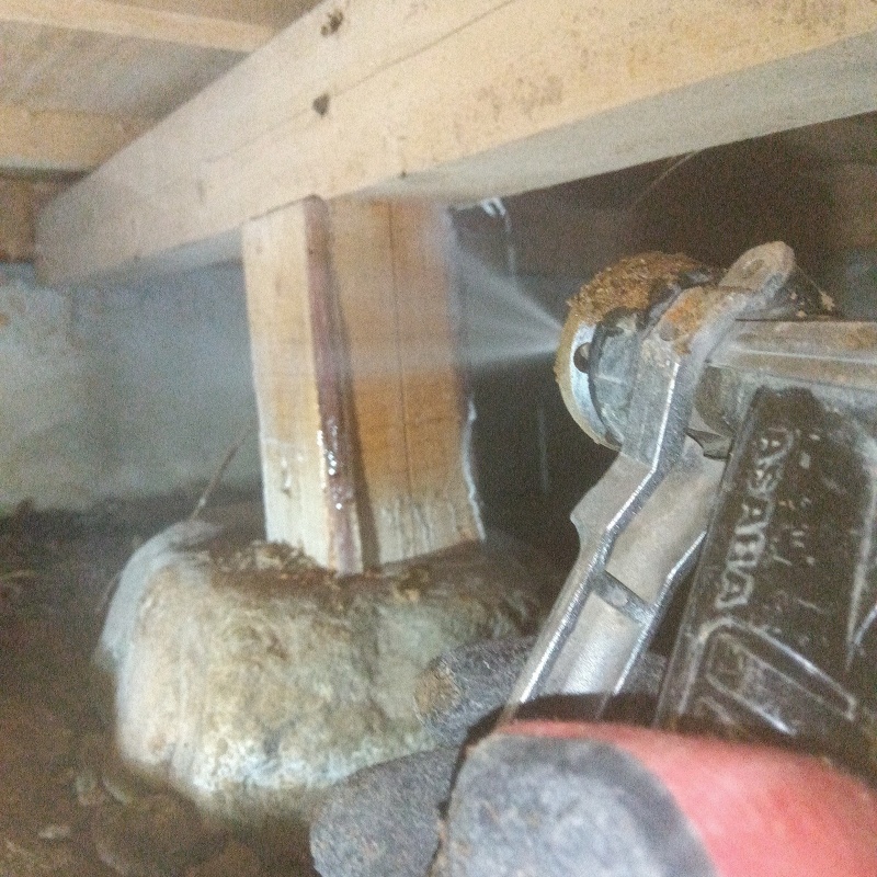 床下の木材に防蟻剤を散布する様子