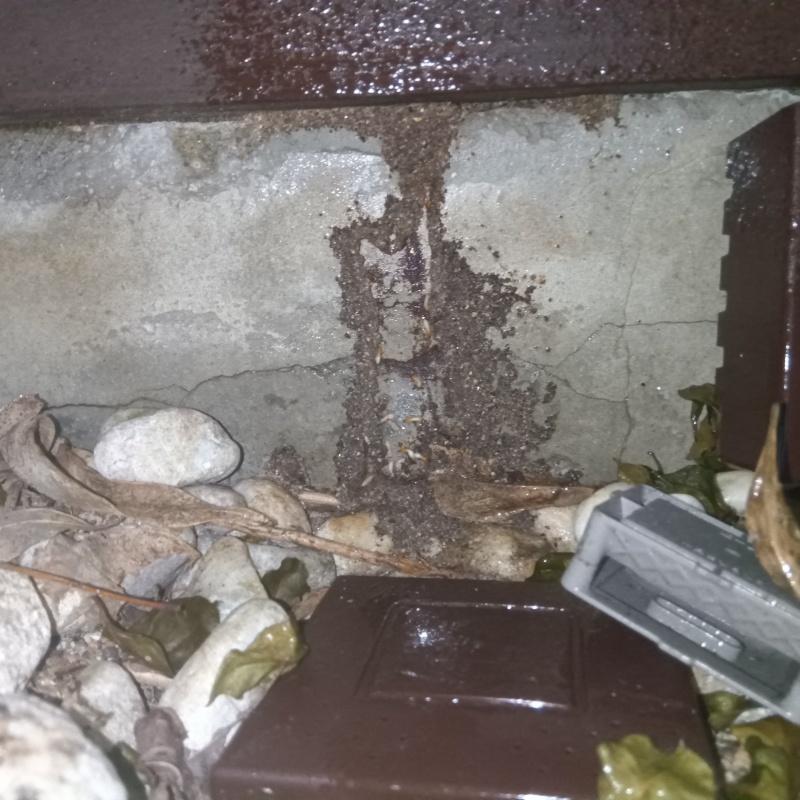 築年数15年のシロアリ駆除の施工事例（福岡県福岡市中央区）