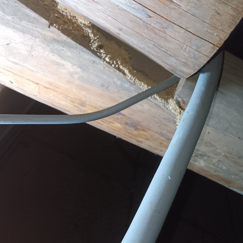 築年数55年のシロアリ駆除の施工事例（福岡県糟屋郡新宮町下府）