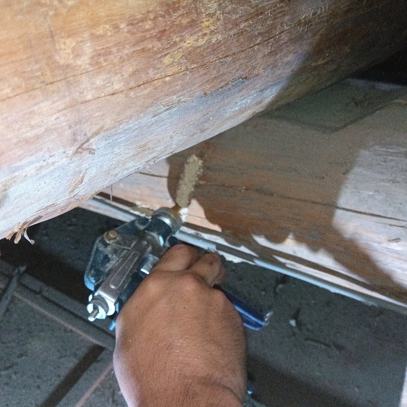 床下の木材にシロアリ駆除を散布する様子