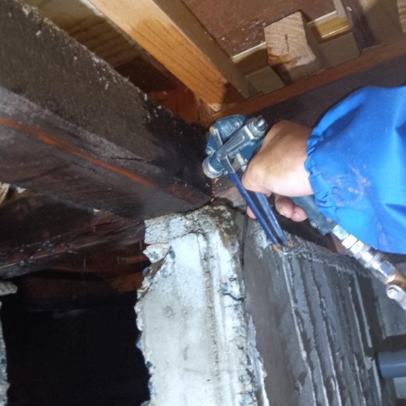 床下の木材にシロアリ駆除を散布する様子
