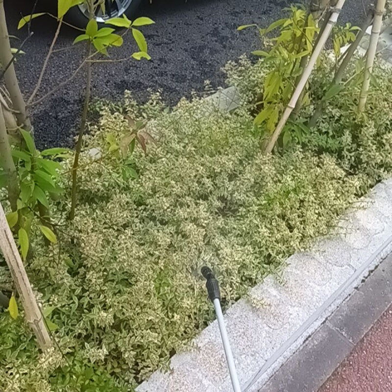 建物外周の土壌にシロアリ駆除剤を散布