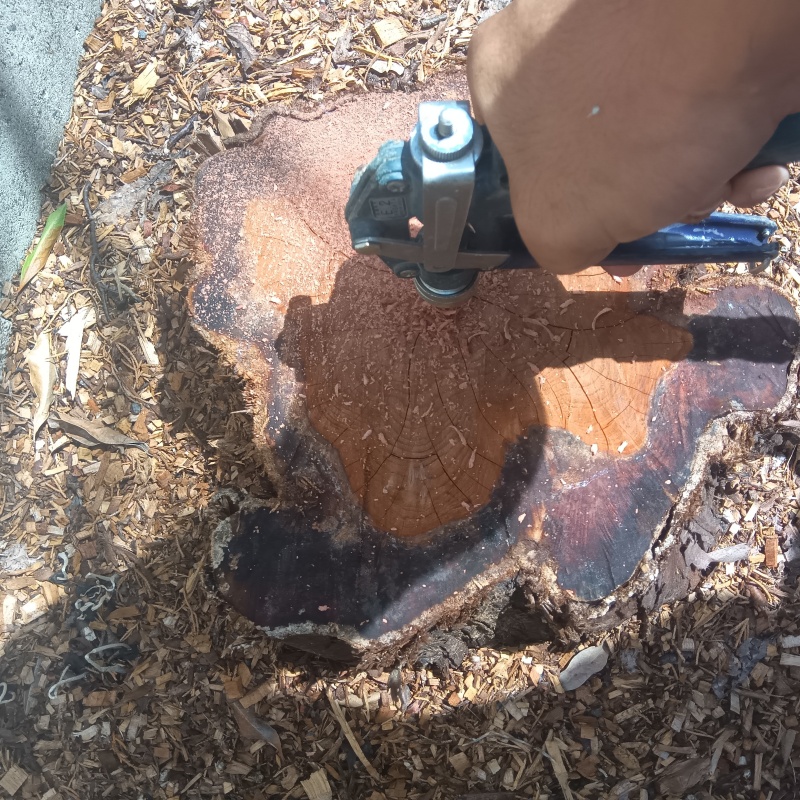 築年数50年のシロアリ予防の施工事例（大分県大分市東院）