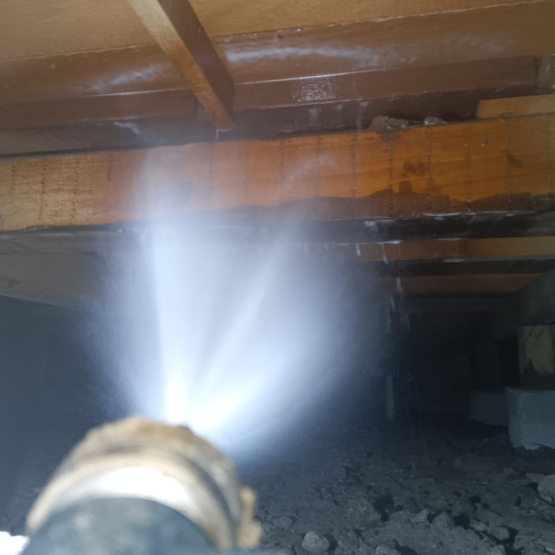 床下の木材に防蟻剤を散布する様子