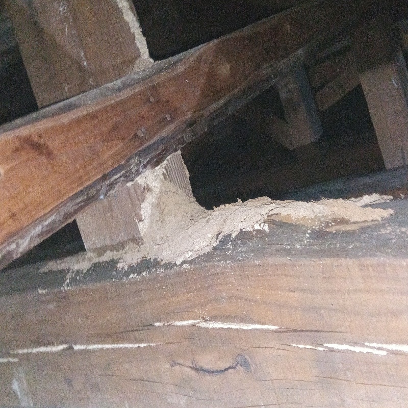 築年数47年のシロアリ駆除の施工事例（佐賀県三養基郡みやき町白壁）