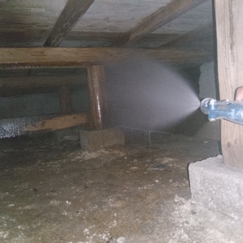 床下の木材にシロアリ駆除を散布する様子