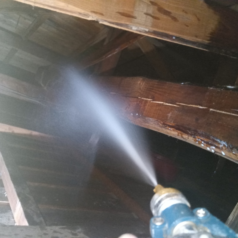 屋根裏の木材にシロアリ駆除を散布する様子