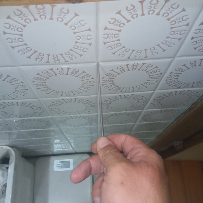 浴室の壁にシロアリ駆除剤を注入する様子