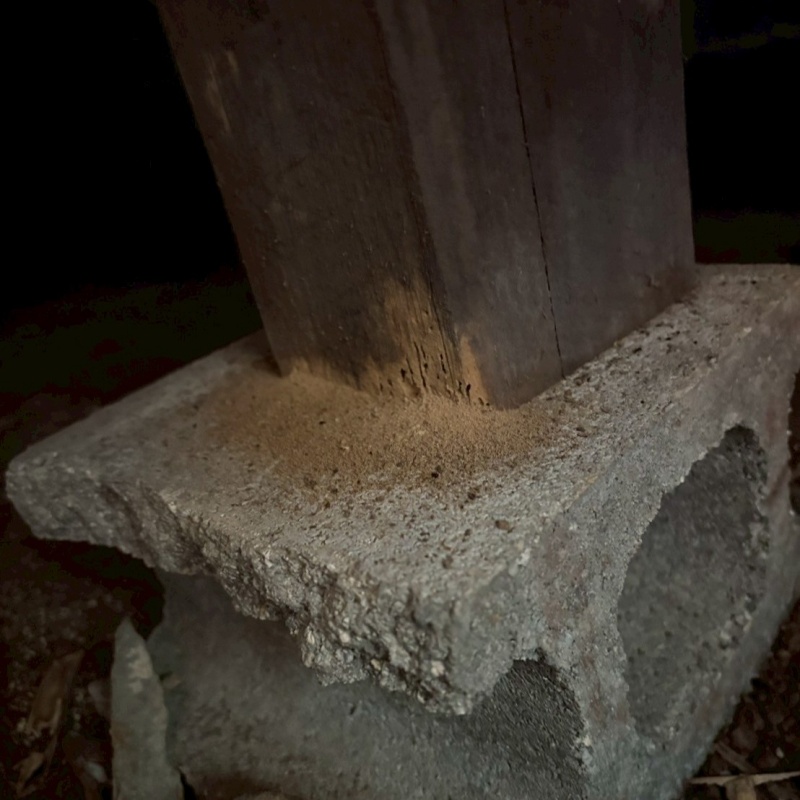 シロアリ駆除の施工事例（山口県長門市）