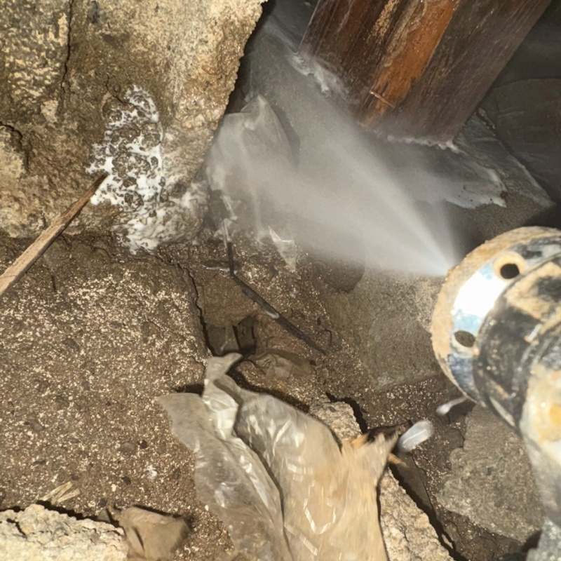 床下の基礎部分にシロアリ駆除を散布する様子