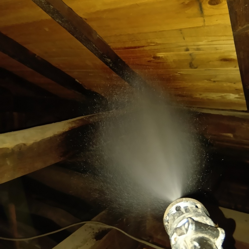 屋根裏の木材にシロアリ駆除剤を散布