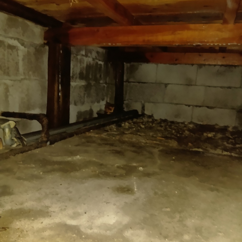 地面・基礎にシロアリ駆除剤を散布