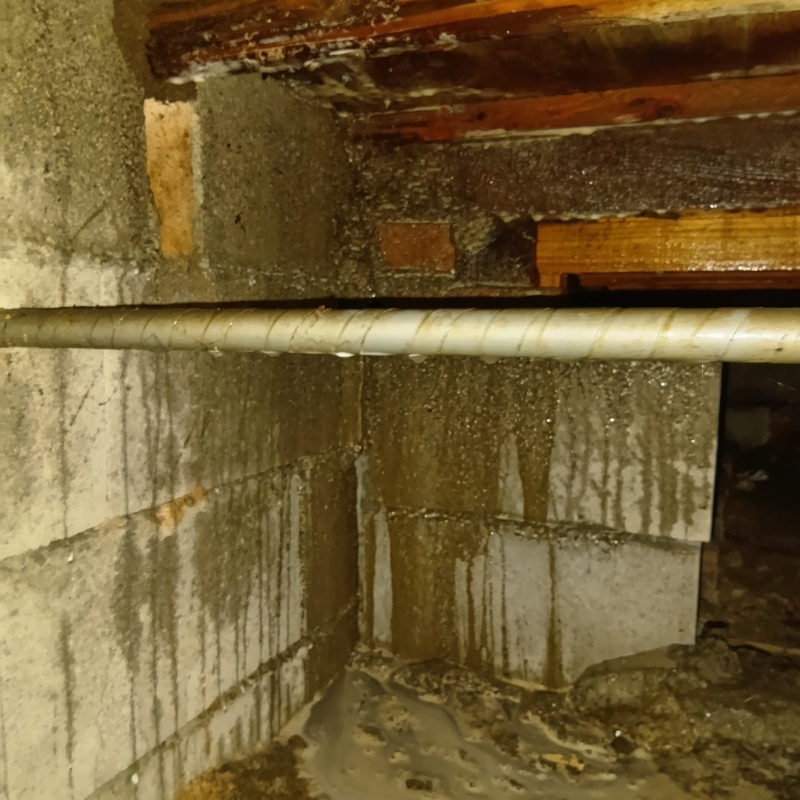 地面・基礎にシロアリ駆除剤を吹き付ける様子