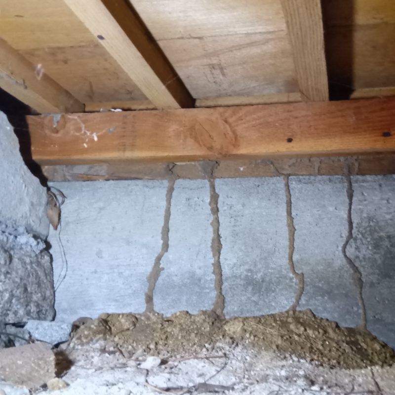 築年数50年のシロアリ駆除の施工事例（岡山県岡山市北区昭和町）
