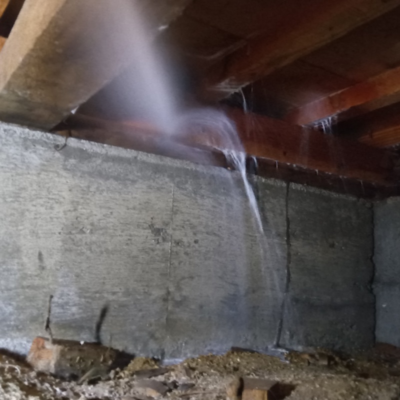 床下の木材にシロアリ駆除を散布する様子