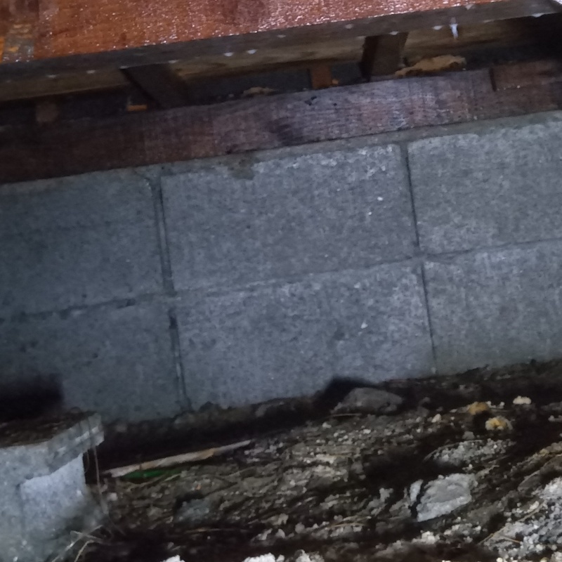 床下の基礎部分にシロアリ駆除を散布した様子