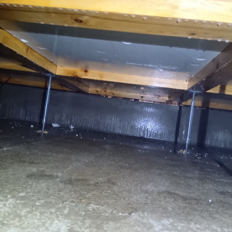 床下の基礎部分に防蟻剤を散布した様子