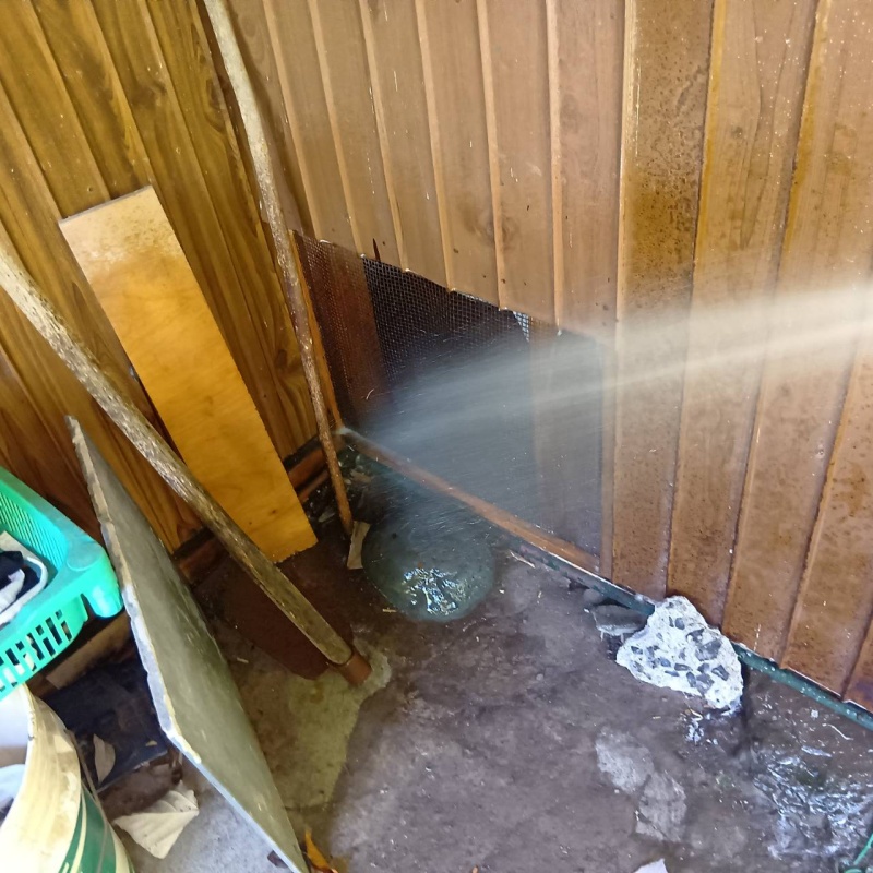 基礎まわりにシロアリ駆除剤を散布する様子